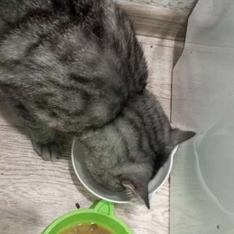 Корм ROYAL CANIN Sterilised 37 сухой 0.2кг для стерилизованных кошек: отзыв пользователя. Зоомагазин Зоозавр