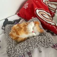 Фото отзыва 11089165