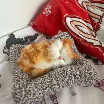 Аксессуар для кукол ЛИНТД питомцы: отзыв пользователя Детский Мир