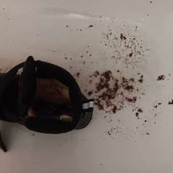 Ботинки Frosterra: отзыв пользователя Детский Мир