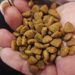 Фото отзыва 10829136