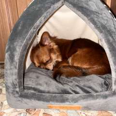 Фото отзыва 10609409