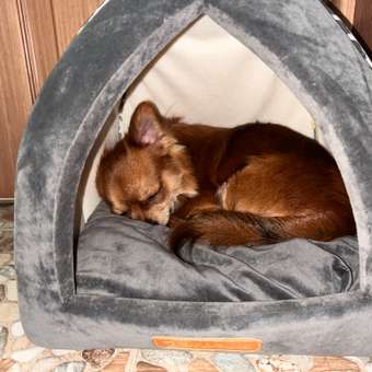 Домик Barbaks 38*38*38см квадратный мягкий серо-черный: отзыв пользователя. Зоомагазин Зоозавр