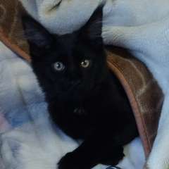 Фото отзыва 10669744