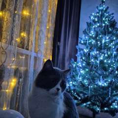 Фото отзыва 10763408