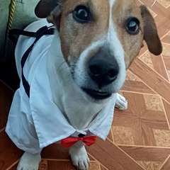 Фото отзыва 11157583