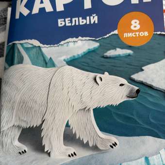 Белый картон Листочек 8 лист.: отзыв пользователя Детский Мир