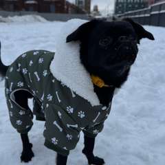 Фото отзыва 10948130