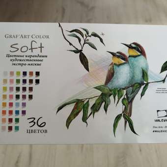 Карандаши цветные Малевичъ 36 шт.: отзыв пользователя Детский Мир