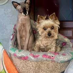 Фото отзыва 10910989