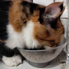 Фото отзыва 10900519