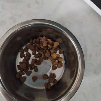 Корм для щенков ROYAL CANIN Junior миниатюрных пород 1.5кг: отзыв пользователя. Зоомагазин Зоозавр