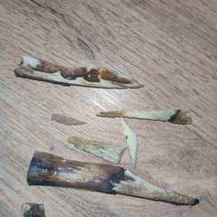 Фото отзыва 10976446