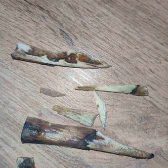 Лакомство для собак LIGHT BITES Козий рог S LB0008: отзыв пользователя. Зоомагазин Зоозавр