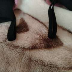 Фото отзыва 10857348