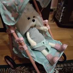 Фото отзыва 10938650