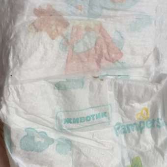 Трусики Pampers Pants Сказочные 4 (9-15 кг) 34 шт.: отзыв пользователя Детский Мир