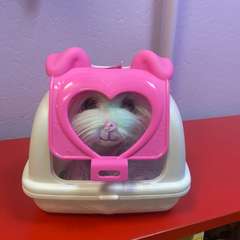 Фото отзыва 5812767