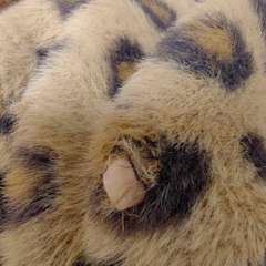 Фото отзыва 10527408