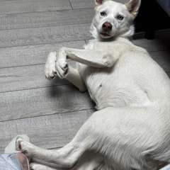 Фото отзыва 10643411