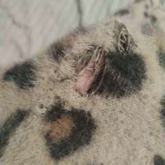 Фото отзыва 10708035