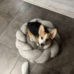 Фото отзыва 10752785