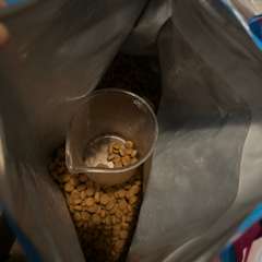 Фото отзыва 10676246