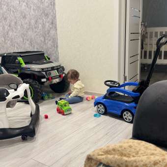 Каталка BabyGo Синяя синий с ручкой: отзыв пользователя Детский Мир