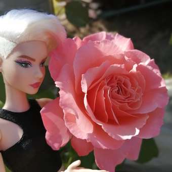 Кукла модельная Barbie: отзыв пользователя Детский Мир