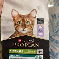 Фото отзыва 10735949