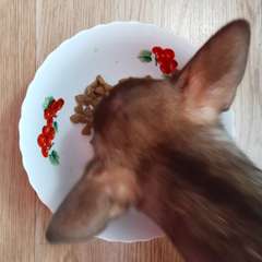 Фото отзыва 10947409