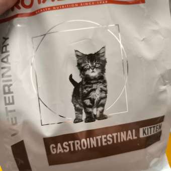 Корм для котят Royal Canin 0.4кг Gastrointestinal Kitten при нарушениях пищеварения сухой: отзыв пользователя. Зоомагазин Зоозавр