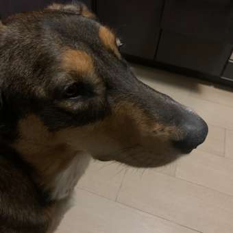 Лакомство для собак Деревенские лакомства мини пород уши кролик с мясом ягненка 55г: отзыв пользователя. Зоомагазин Зоозавр