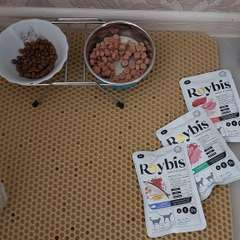 Фото отзыва 11312066