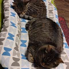 Фото отзыва 10751446