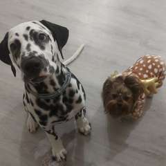 Фото отзыва 10499994