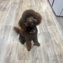 Фото отзыва 10638247