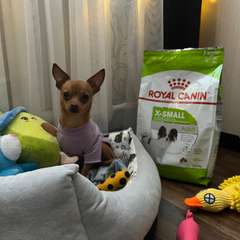 Фото отзыва 10959074