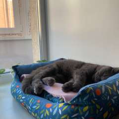 Фото отзыва 10838928