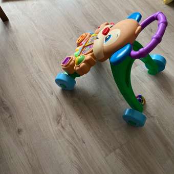 Ходунки Fisher Price Ученый Щенок с ручкой: отзыв пользователя ДетМир