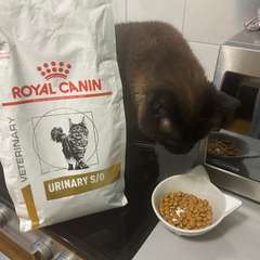 Фото отзыва 10828415