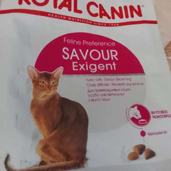 Корм сухой для кошек ROYAL CANIN Exigent Savour 400г привередливых к вкусу продукта: отзыв пользователя. Зоомагазин Зоозавр