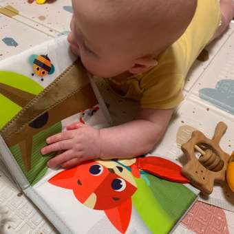 Игрушка Tiny Love книжка: отзыв пользователя Детский Мир