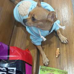 Фото отзыва 10848102