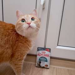 Фото отзыва 10913081