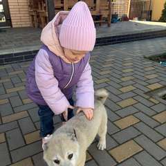 Фото отзыва 11214528