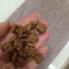 Фото отзыва 10720955