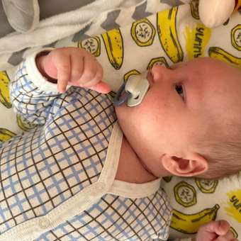 Пустышка Canpol Babies силикон от 0 мес. 2 шт.: отзыв пользователя Детский Мир