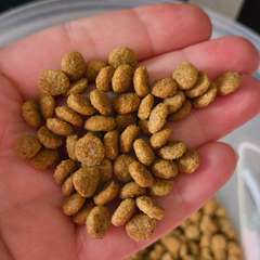 Фото отзыва 10431007