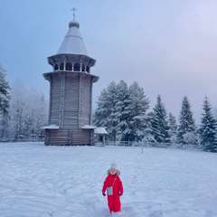 Фото отзыва 10572438